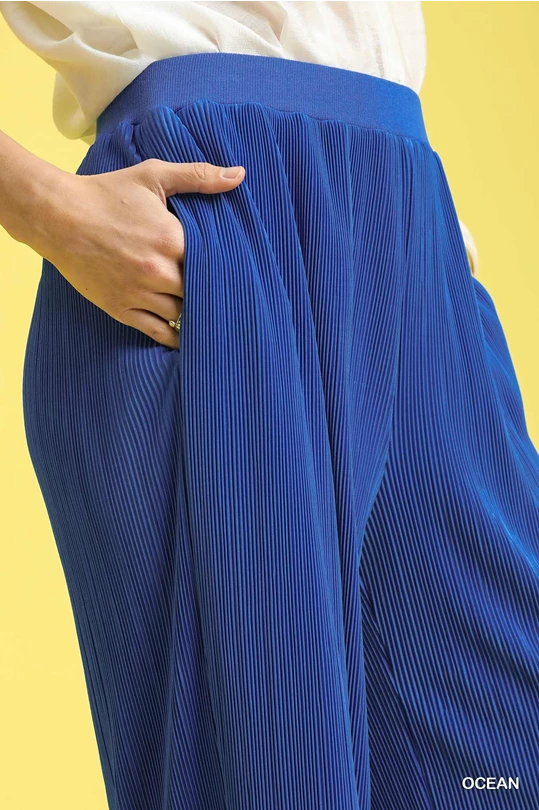 Sunkissed Pleated Wide Leg Pants